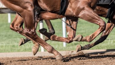 Breeders Cup