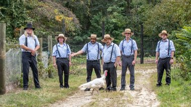 amishoutlaws380x214