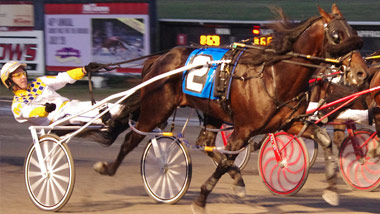 standardbred harness racing