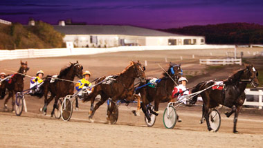group of harness racers