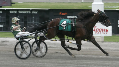 harness racing at the Meadows